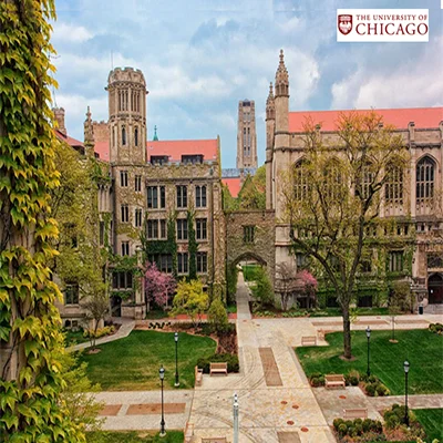 University of chicago 1