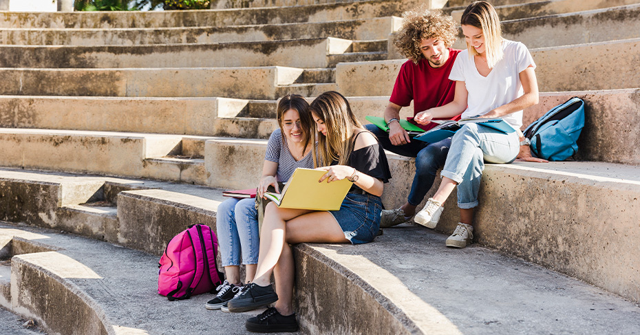 Study in New Zealand 1 higher education